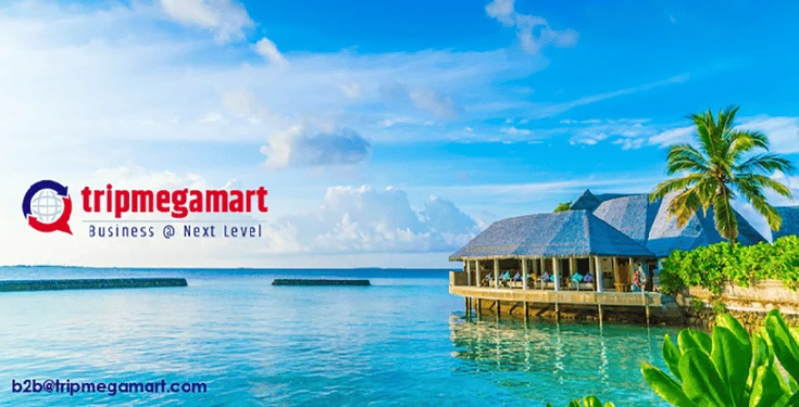 Global Trends Affecting Travel Industry – How To Overcome Them.webp