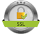Postive SSL