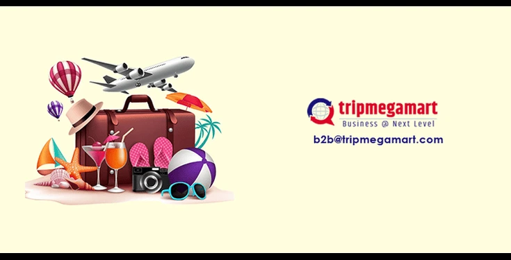 How Can A Travel Agency Benefit From Travel Website Development.webp