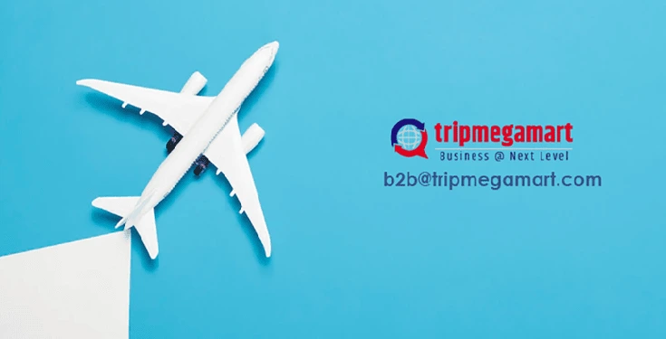 Start Online Travel Agency Business In Kenya.webp