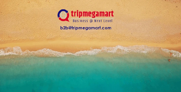 Start Online Travel Agency Business In Maldives.webp