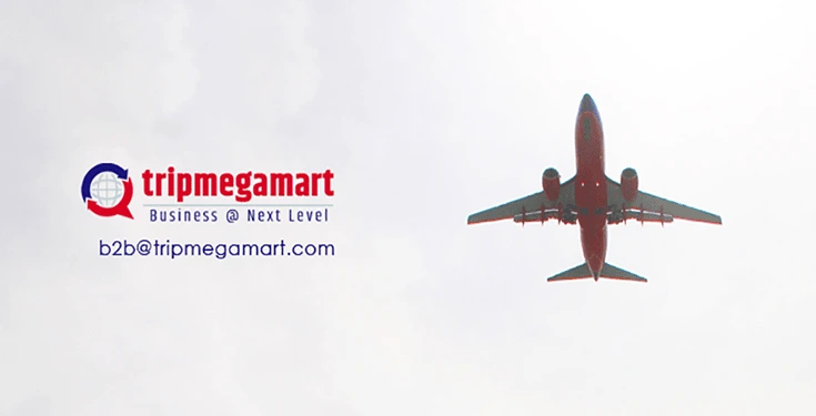 What Makes Trip Mega Mart The Best Travel Portal Development Company.webp